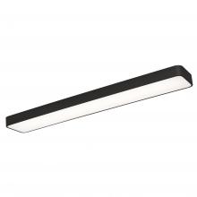 AFX Lighting, Inc. BAYL4608LAJUDBK - 46In Linear Led 43W 120-277V