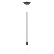 Livex Lighting 45831-04 - 1 Lt Black Pendant