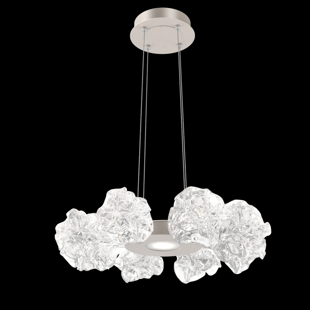 Blossom Radial Ring Chandelier - 24