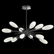 Hammerton PLB0071-0A-GP-WL-001-L3 - Fiori Oval Starburst Chandelier 50"