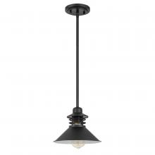 Worldwide Lighting Corp E80066-001 - Robby 1-Light Black Finish Mini Pendant 9“ X 9” X 6.63“