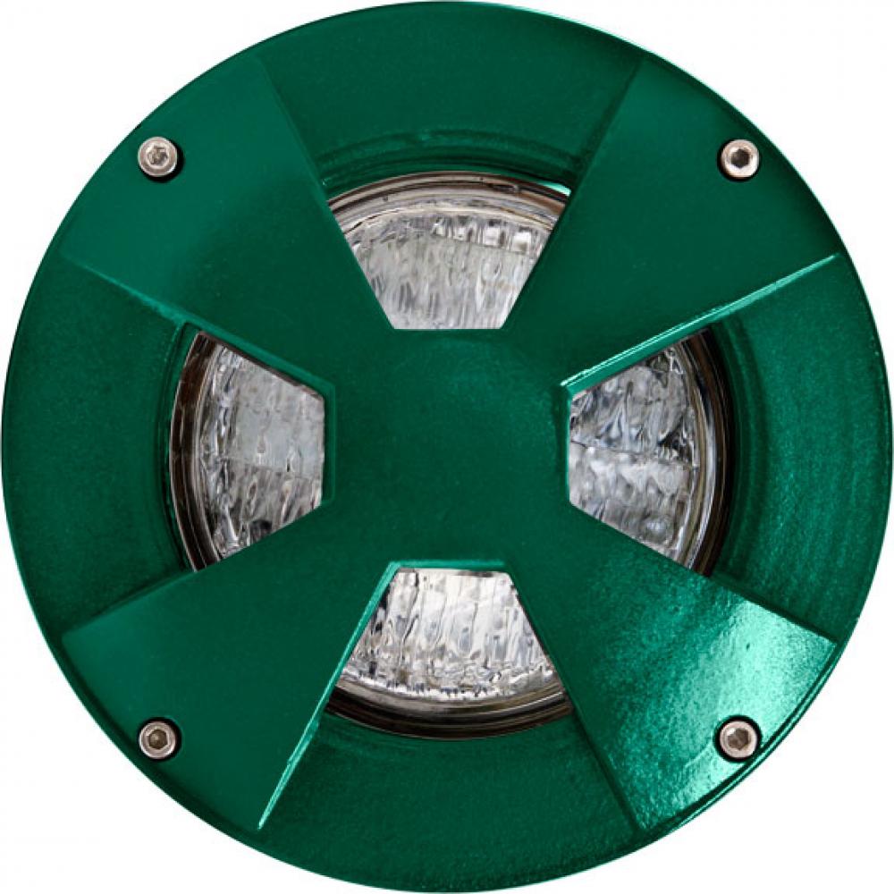 WELL LIGHT W/DRIVEOVER CVR W/ SLV 35W PAR36 12V