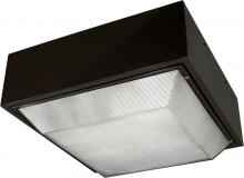 Dabmar DW9260-BZ-MT - LARGE CEILING FIX 400W HPS MT