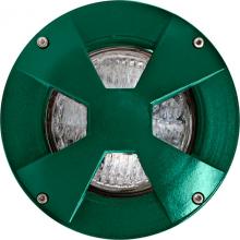 Dabmar LV307-G-SLV - WELL LIGHT W/DRIVEOVER CVR W/ SLV 35W PAR36 12V