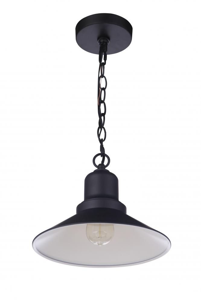 Singleton 1 Light 11" Outdoor Pendant in Midnight