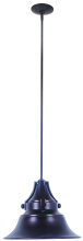 Craftmade Z4421-OBG - Large Pendant