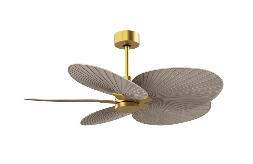 Alessandra Tropical 5-blade ceiling fan in Brushed Brass and Gray Ash Tone blades.