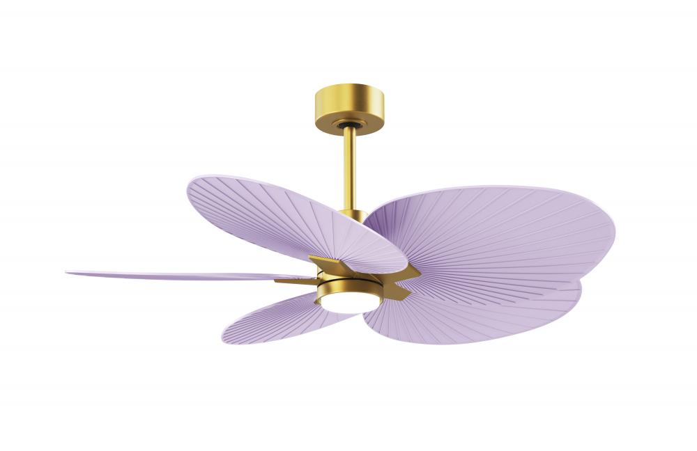 Alessandra Tropical 5-blade ceiling fan in Brushed Brass and Lilac blades.