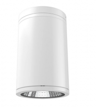 RAB Lighting CD34FA6SP-30-709-WC - CYL34 6 30W 2910LM 5CCT FA WH CRI90 70D 0-10DIM S+P MOUNT C