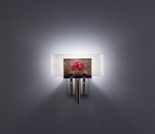 WPT Design Dessy1-WR/FLSN - Dessy 1 - SS - Incandescent - Wired Rose/Flat Back Snow