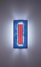 WPT Design FNTall-BZ-RWB - F/N Tall - Bronze - Fluorescent - Red Window Blue