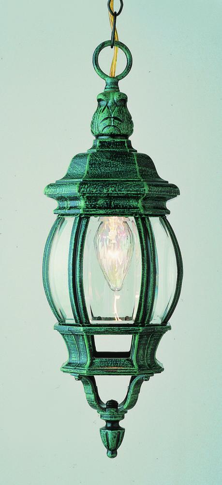 Parsons 1-Light Traditional French-inspired Outdoor Hanging Lantern Pendant with Chain