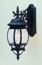 Trans Globe 4054 BK - Francisco 3-Light Outdoor Beveled Glass Armed Wall Lantern