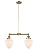  209-AB-G661-7-LED - Bullet - 2 Light - 24 inch - Antique Brass - Stem Hung - Island Light