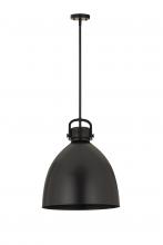 Innovations Lighting 410-1SL-BK-M412-16BK - Newton Sphere - 1 Light - 16 inch - Matte Black - Pendant