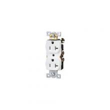 Morris 82506 - Tmpr-amp Wthr Rstnt Dup Rec 20A 125V Wht