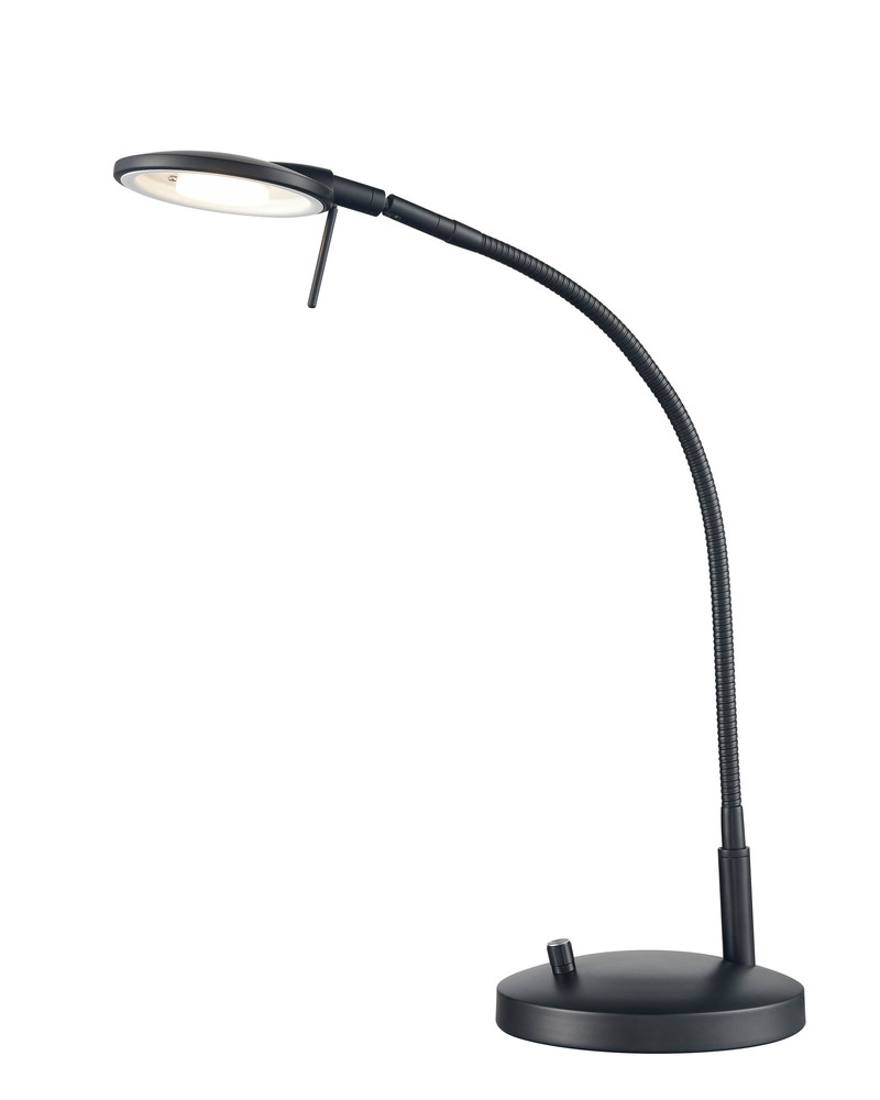 Dessau Flex Gooseneck Desk Lamp