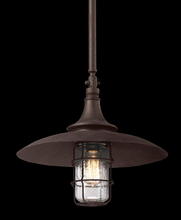 Troy F3229 - Allegheny Pendant