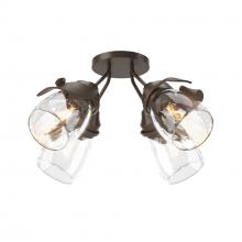 Hubbardton Forge 121371-SKT-05-LL0330 - Lapas 4-Light Semi-Flush