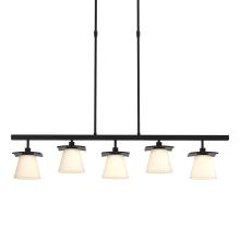 Hubbardton Forge 136605-SKT-STND-10-GG0242 - Wren 5 Light Pendant