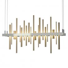 Hubbardton Forge 139725-LED-STND-85-84 - Cityscape LED Pendant