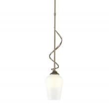 Hubbardton Forge 183030-SKT-MULT-84-GG0303 - Flora Down Light Mini Pendant