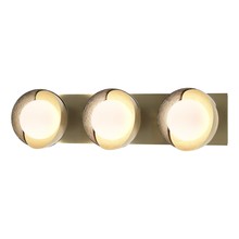 Hubbardton Forge 201378-SKT-86-85-GG0711 - Brooklyn 3-Light Straight Double Shade Bath Sconce