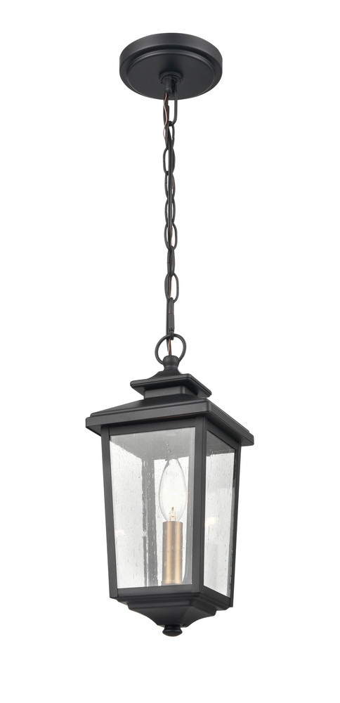 Eldrick 1-Light Outdoor Hanging Lantern Powder Coated Black