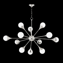 Mitzi by Hudson Valley Lighting H375812-PN - Ariana Chandelier