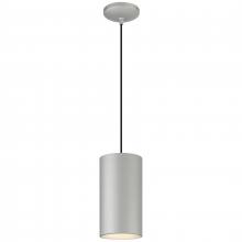 Access 29007-SAT-C - Pendant