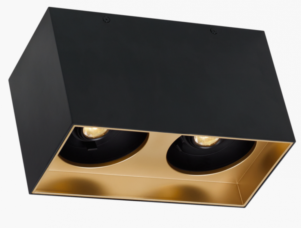 Exo 6 Dual Flush Mount