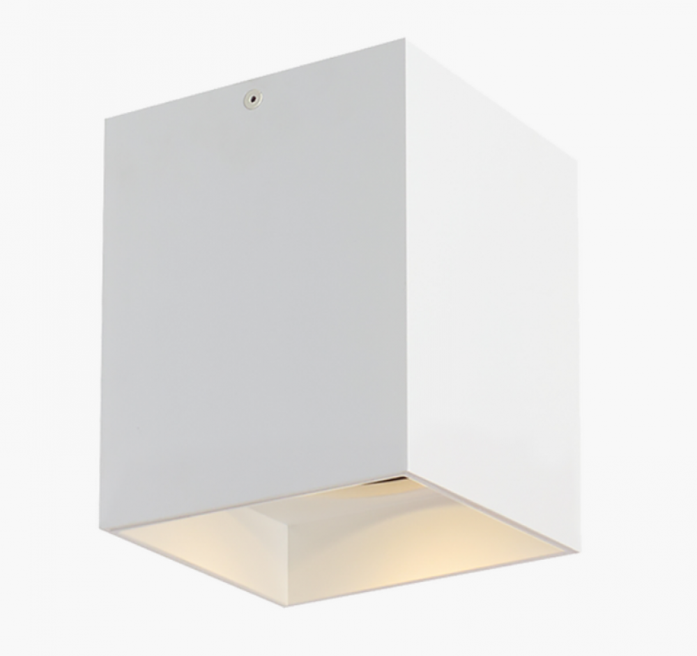 Exo 6 Flush Mount