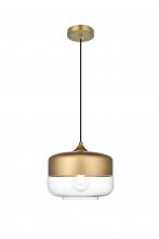 Elegant LD2243SG - Ashwell 10 inch Pendant Clear Shade in Satin Gold