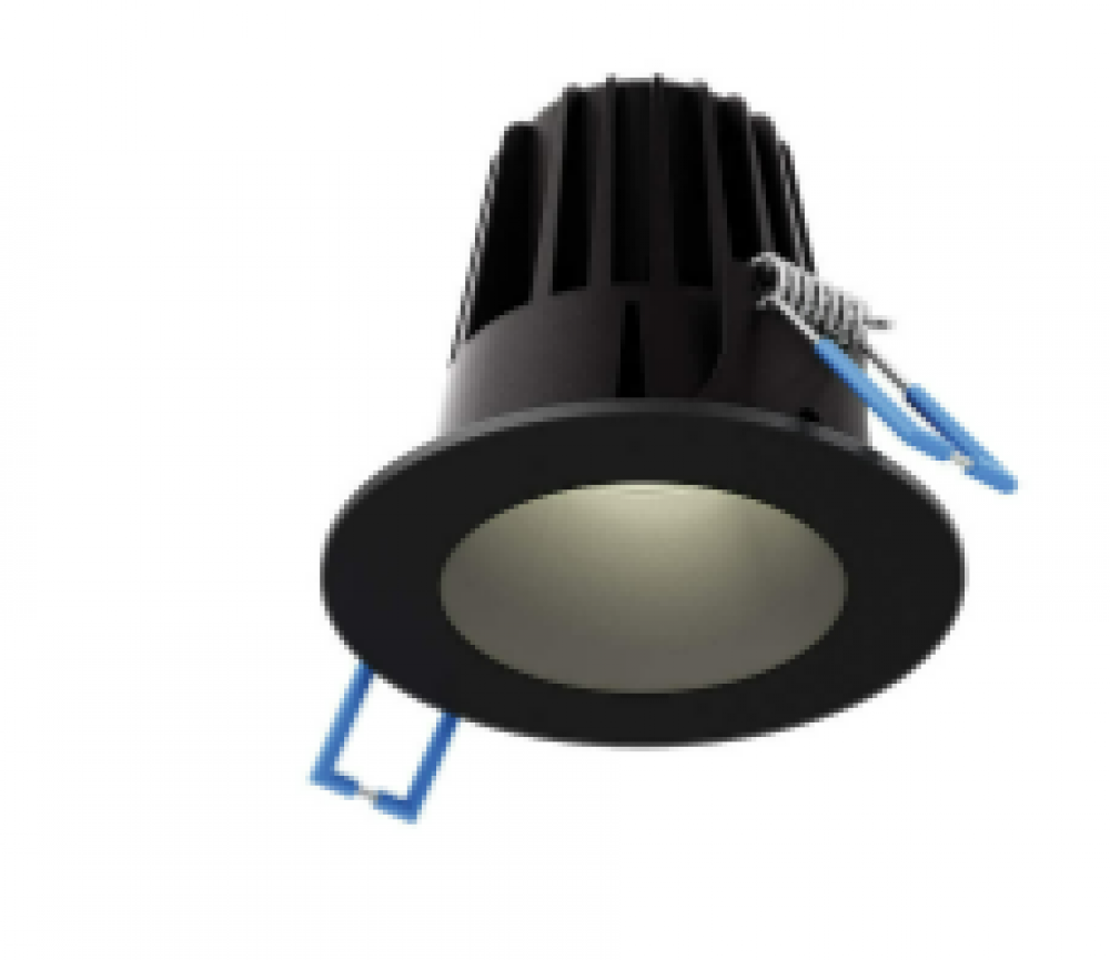 2 Inch Round Indoor/Outdoor Regressed Down Light