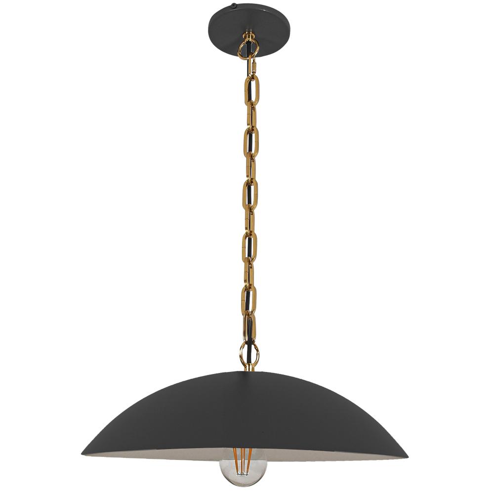 1 Light Pendant in Matte Black w/ Aged Brass Chain