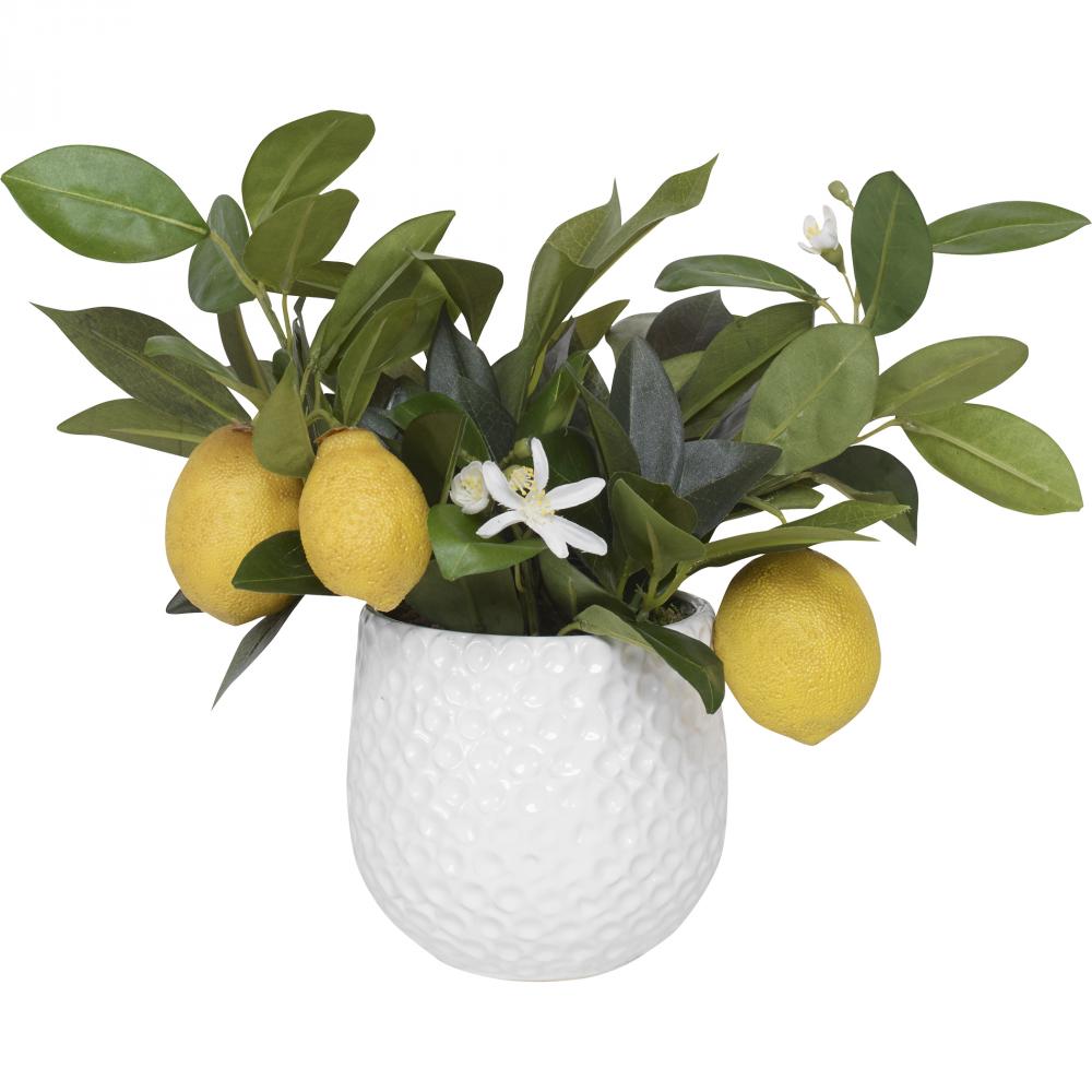 Uttermost Positano Lemon In White Pot